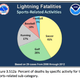 Illustration for article titled New statistics on lightning deaths in the U.S. reveal weird patterns